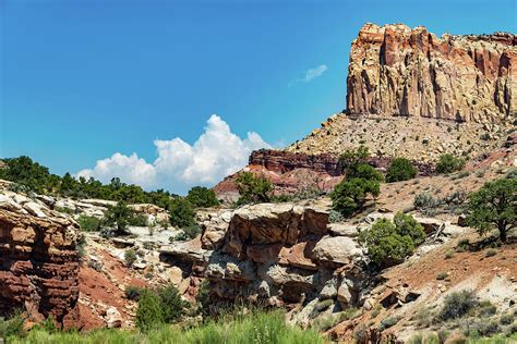 Torrey Utah. Located next to Capitol Reef National Park & Boulder ...