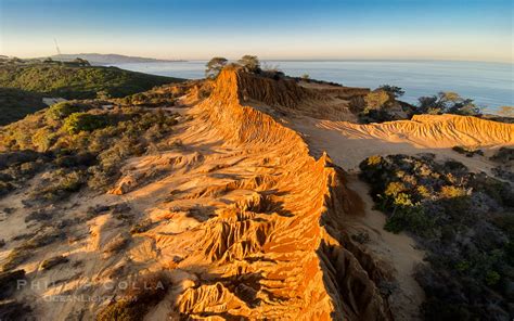 The Beach Trail in Torrey Pines State Reserve is one of our favorite hikes in San Diego. On a recent weekend, we hiked the trail to go tide pooling on Torrey.... 