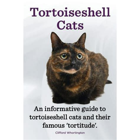 Tortoiseshell cats an informative guide to tortoiseshell cats and their famous tortitude. - Romeo and juliet study guide cornell notes.