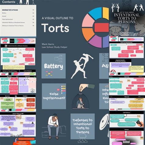Torts A Guide For The Perplexed