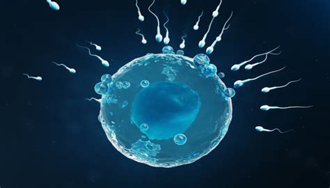 Total progresif sperm sayısı kaç olmalı