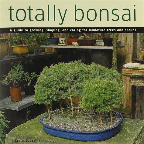 Totally bonsai a guide to growing shaping and aring for miniature trees and shrubs. - La biblia de las americas (lbla) (black leather).