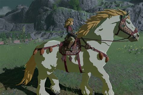 List of Pony Points Rewards in Zelda: Tears of the Kingdom. 3 Points: Towing Harness. 5 Points: Horse-God Fabric for the Paraglider. 7 Points: Malanya Bed. 10 Points: Register one additional horse. 13 Points: Traveler’s Saddle and Traveler’s Bridle. 16 Points: Mane-Restyline Service.. 