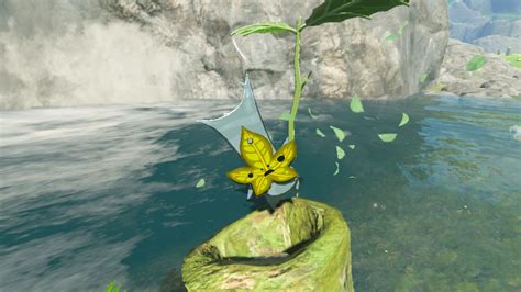 Totk korok. Koroks — and their seeds — are back in Tears of the Kingdom. There are quite literally hundreds of them scattered across Hyrule. And while many of them remain hidden, you can now find some out ... 