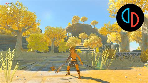 A new update for Zelda: Tears of the Kingdom has dropped an