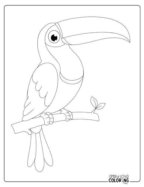 Toucan Coloring Shee