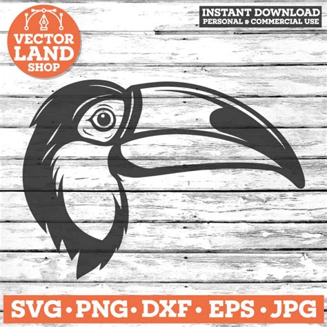 Toucan Svg - Etsy