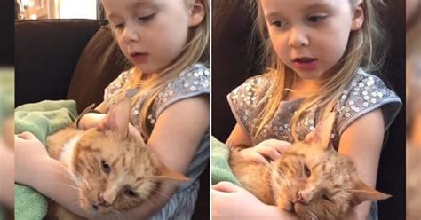 Touching moment when little girl sings to her dying cat