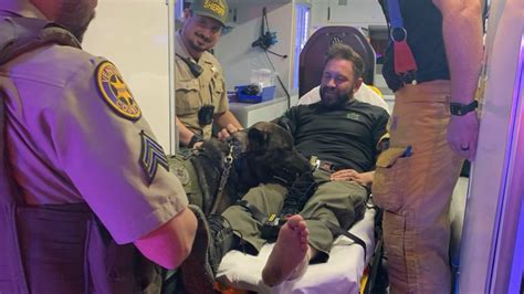 Touching photos shows injured K9, deputy recovering from crash