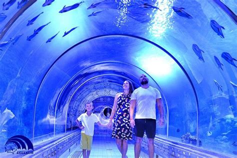 Tour e biglietti Hurghada Grand Aquarium Tripadvisor