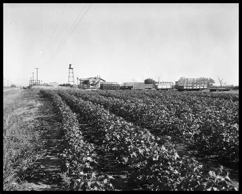 Tour highlights cotton’s journey beyond the field and gin