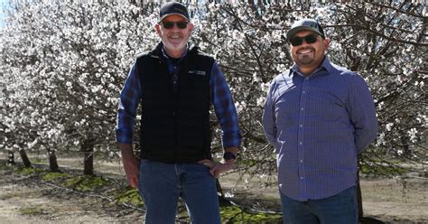 Tourists flock to almond bloom, sometimes over growers