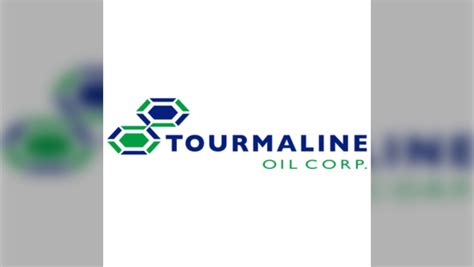 Tourmaline Oil announces deal to buy Bonavista Energy worth $1.45 billion