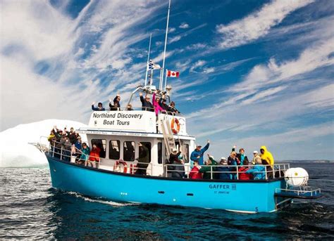 Tours - Northland Discovery Boat Tours