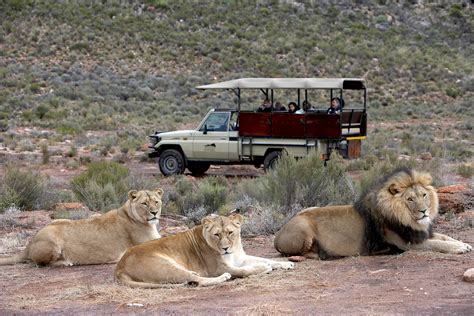 Tours and Safaris in South Africa Alan Tours South Africa