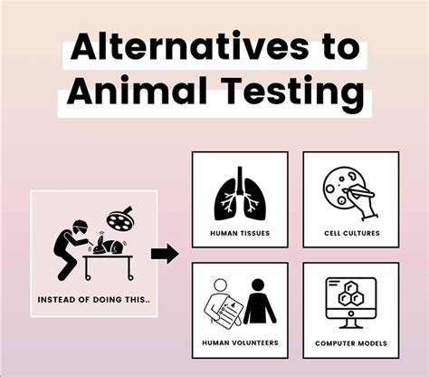 Toward More Efficient Safety Testing Through Development of an Internal