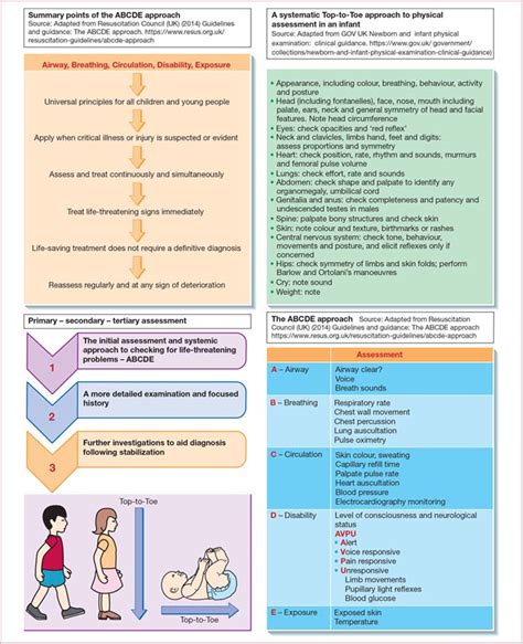 Toward a systematic approach to assessment and care planning …