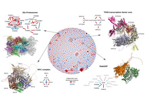 Towards a structurally resolved human protein interaction network. Nov 8, 2021 · Structure prediction of high confidence human protein interactions We selected experimentally determined human interactions from the Human Reference Interactome (HuRI) and the Human Protein Complex Map (hu.MAP 2.0). HuRI comprises interactions determined by yeast two-hybrid screening (Luck et al, 2020) from which we 