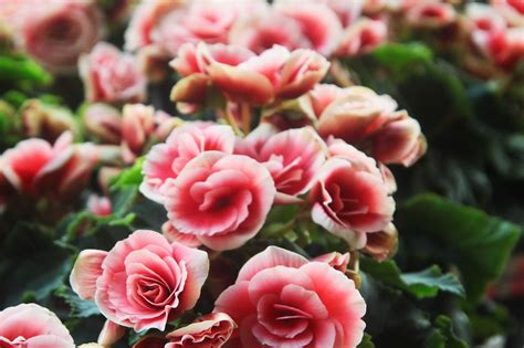 Towcester death.  Oct 1, 2025 · Country Funerals Towcester obituaries - vie...