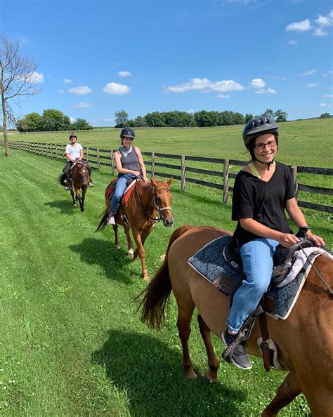 Tower Hill Stables Hampshire IL