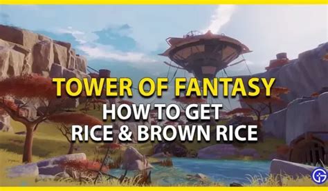 Tower of Fantasy: Cómo conseguir arroz - Volsiz