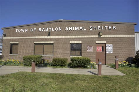 Town of babylon animal shelter. The Animal Shelter, a division of the Department of Environmental Control, provides a variety of pet services including: microchipping, dog licenses, and more for town residents, in addition to providing shelter to animals in need of care until they can be adopted by a loving family. Residency in the Town of Babylon is not required to adopt a ... 