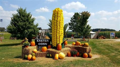 Townsend’s Corn Maze popular fall destination: Area …