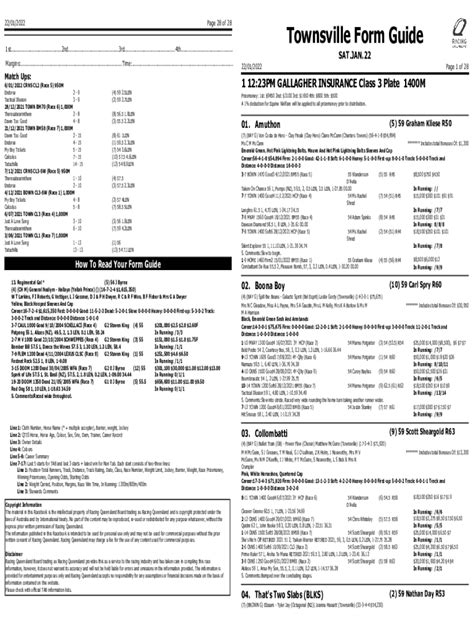 Townsville Form Guide (Race 6) Sibling Report