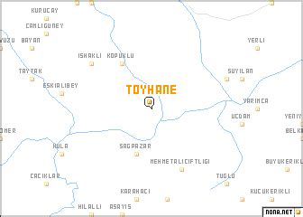 Toyhane Halı ve Koltuk Yıkama