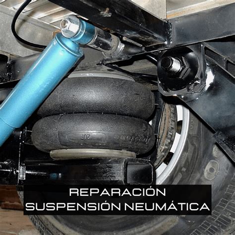 Toyota 1hz suspensión neumática manual de reparación. - Verdadera historia de lidia de cadaqués.
