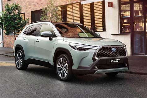 codini.rgarabwor.edu.pl. 