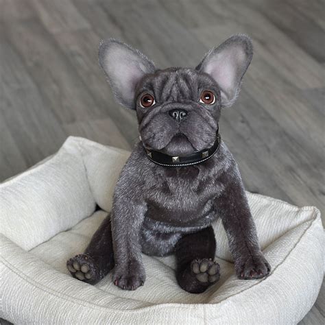 Toys For French Bulldog Puppy