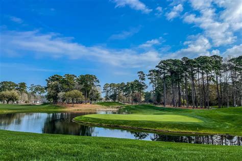 Tpc myrtle. TPC Myrtle Beach is a Myrtle Beach golf course located in Murrells Inlet, South Carolina. TPC Myrtle Beach was designed by Tom Fazio and offers 18 holes of breathtaking golf. TPC Myrtle Beach is a member of Founders Group International. 