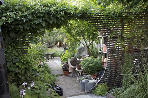 Trädgård, växter och odling Sverige