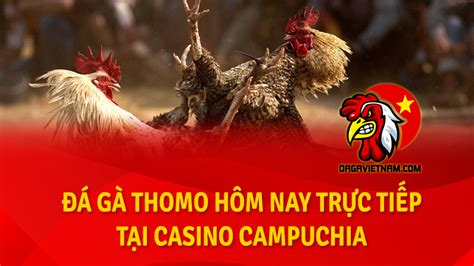 Trực tiếp Đá Gà Casino Hôm Nay: Mở Ra Thế Giới Cá Cược Thú Vị