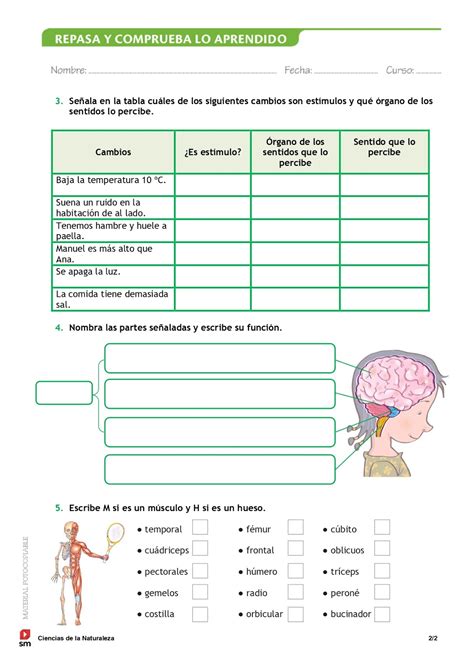 Trabajos y tareas de Ciencias Naturales