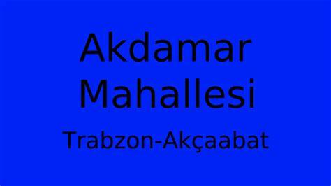 Trabzon Akcaabat Akdamar Mahallesi terapi halı yıkama