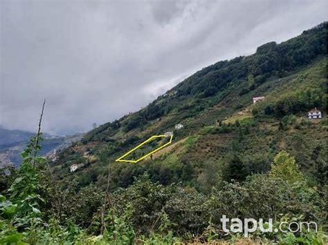 Trabzon Akcaabat Cevizlik Mahallesi terapi halı yıkama