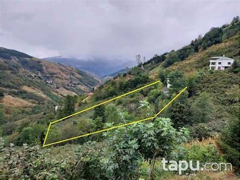 Trabzon Akcaabat Gumuslu Mahallesi terapi halı yıkama