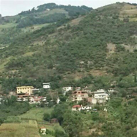 Trabzon Akcaabat Zaferli Mahallesi terapi halı yıkama