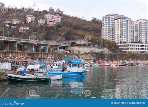 Trabzon Arakli terapi halı yıkama