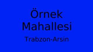 Trabzon Arsin Ornek Mahallesi terapi halı yıkama