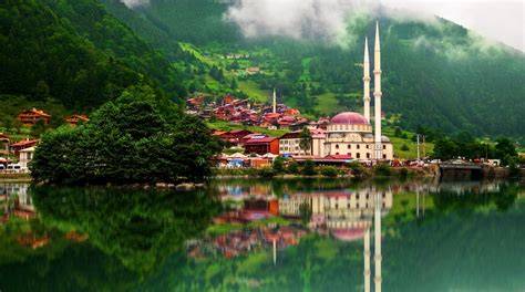 Trabzon Caykara En Yakin terapi halı yıkama