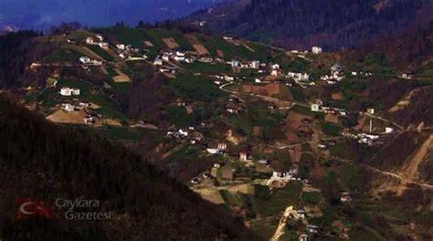 Trabzon Caykara Ulucami Mahallesi terapi halı yıkama