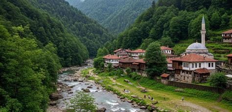 Trabzon Hayrat terapi halı yıkama