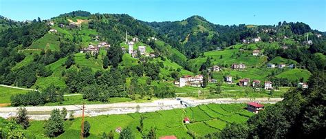 Trabzon Hayrat Balaban Mahallesi terapi halı yıkama