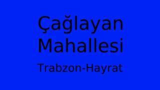 Trabzon Hayrat Caglayan Mahallesi terapi halı yıkama