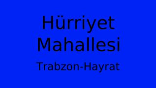 Trabzon Hayrat Hurriyet Mahallesi terapi halı yıkama