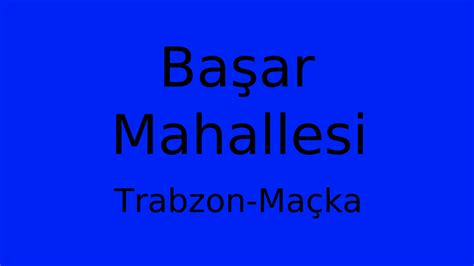 Trabzon Macka Basar Mahallesi terapi halı yıkama
