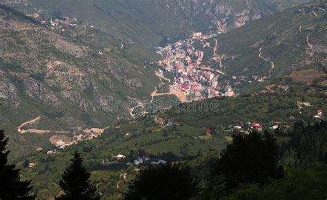 Trabzon Macka Ogulagac Mahallesi terapi halı yıkama